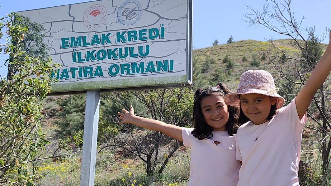 Enerji Dostu Mavi Yeşil Okul Projesi-Hatıra Ormanı Oluşturma